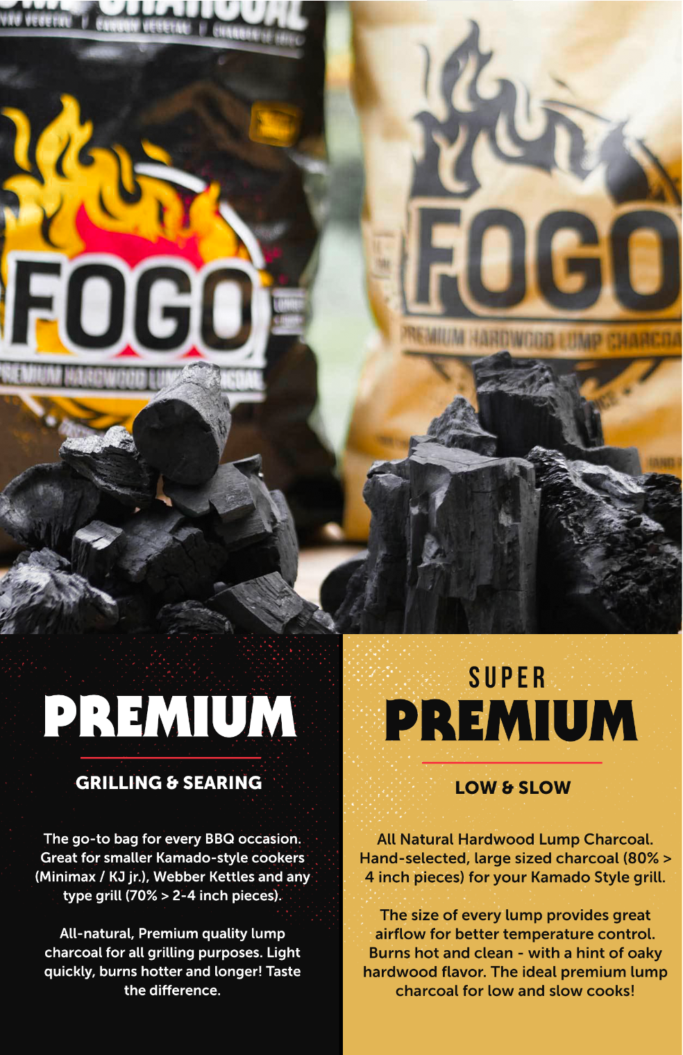 POS FOGO Flyer (30-pack)